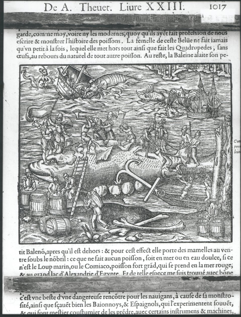 Découpe d