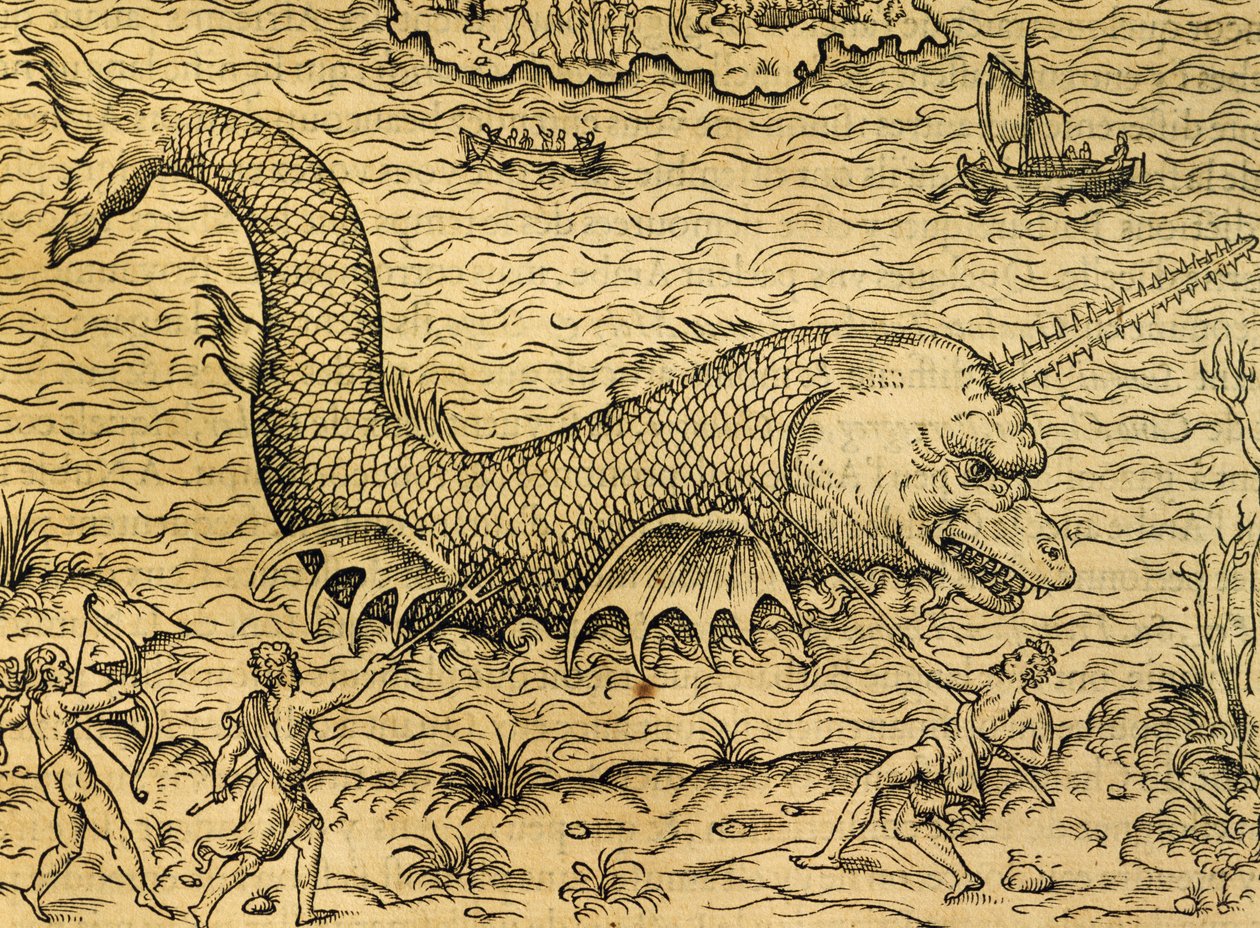 Monstre marin, gravure de la Cosmologie Universelle, par André Thevet (1504-1592), Paris - Andre Thevet