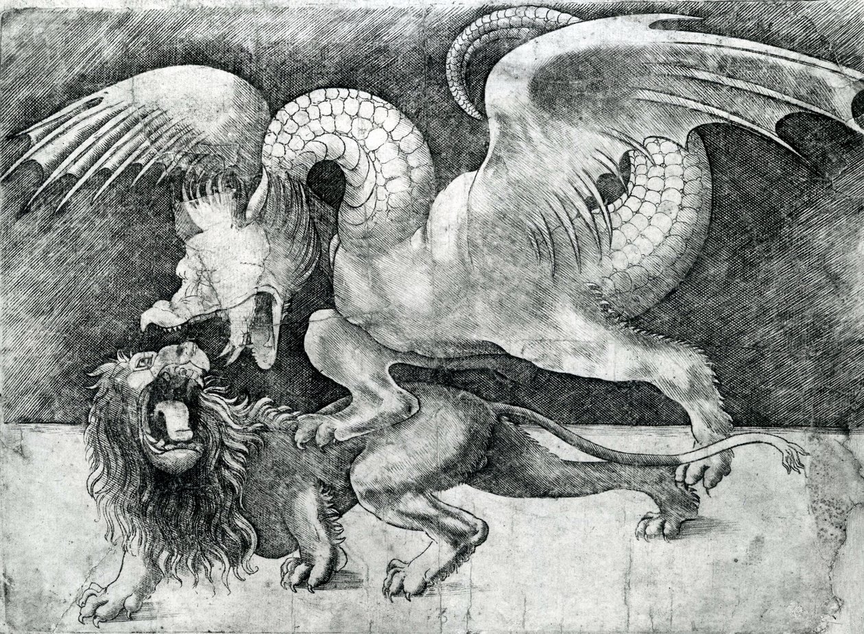 Dragon combattant un lion - Andrea Zoan