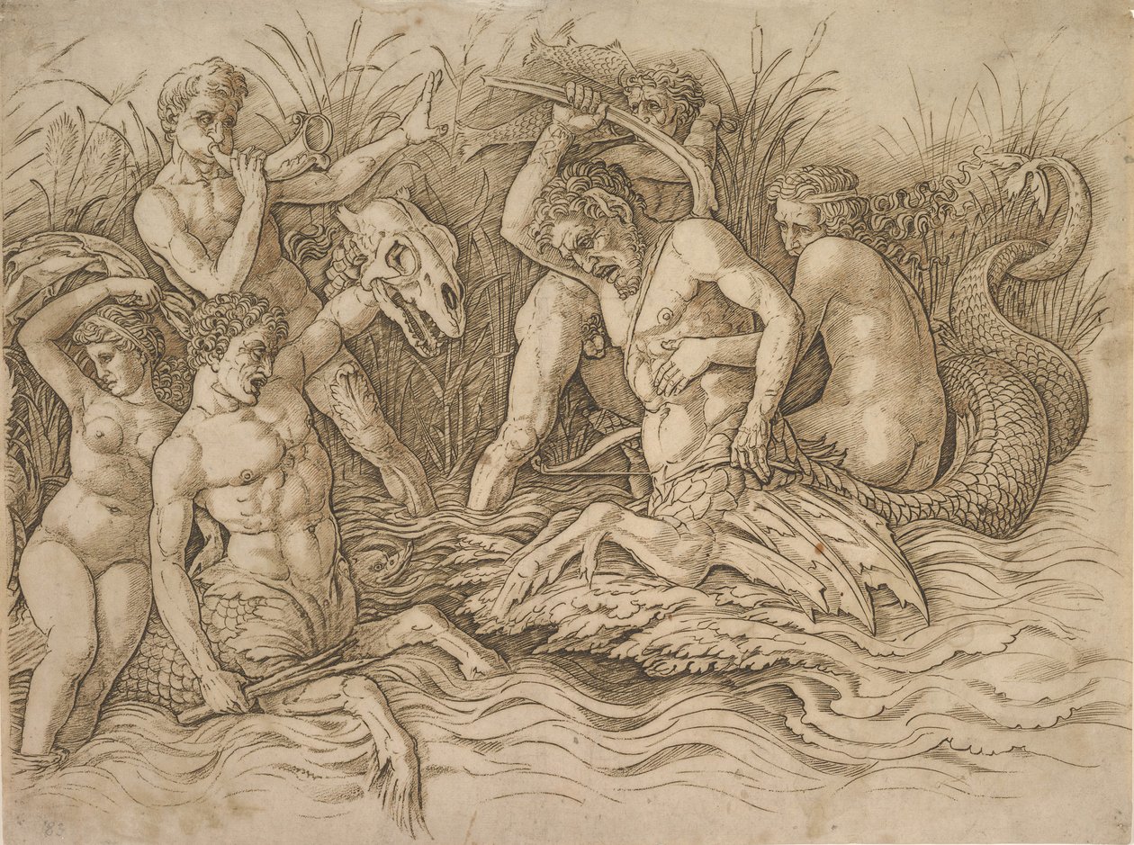 Bataille des Dieux de la Mer moitié droite, vers 1485-88 - Andrea Mantegna
