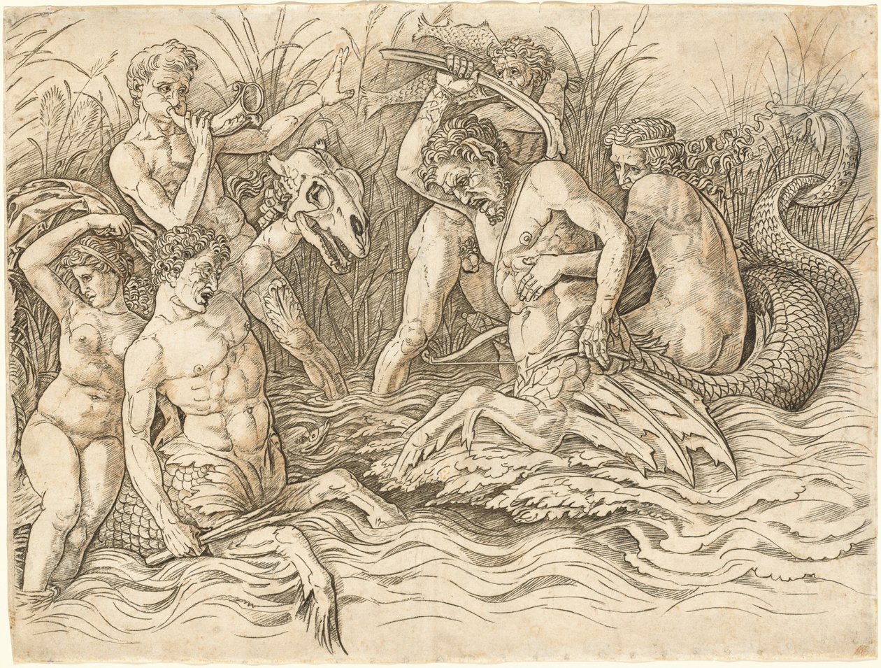 Bataille des dieux de la mer (moitié droite) - Andrea Mantegna
