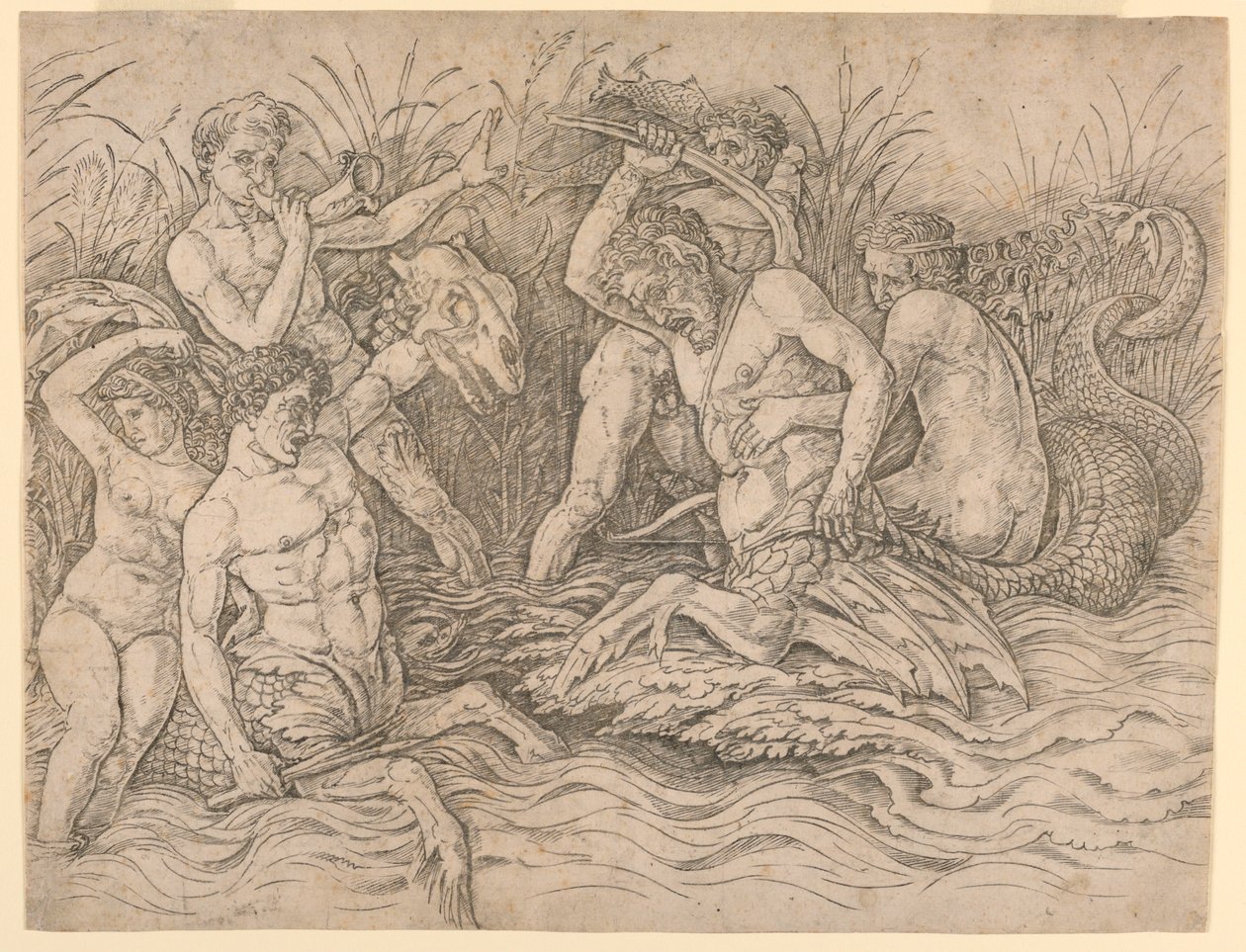 Bataille des dieux de la mer, moitié droite - Andrea Mantegna