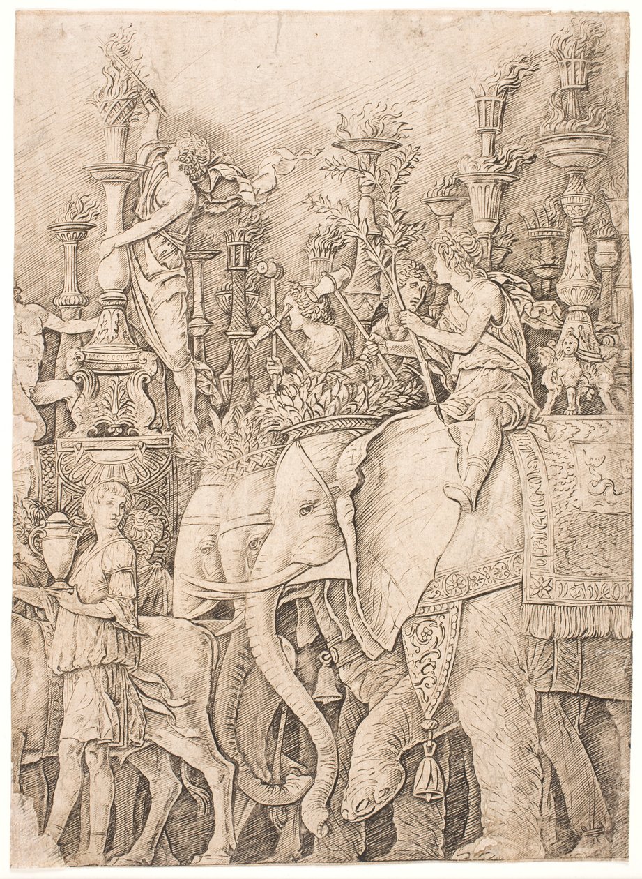 Éléphants portant des torches - Andrea Mantegna