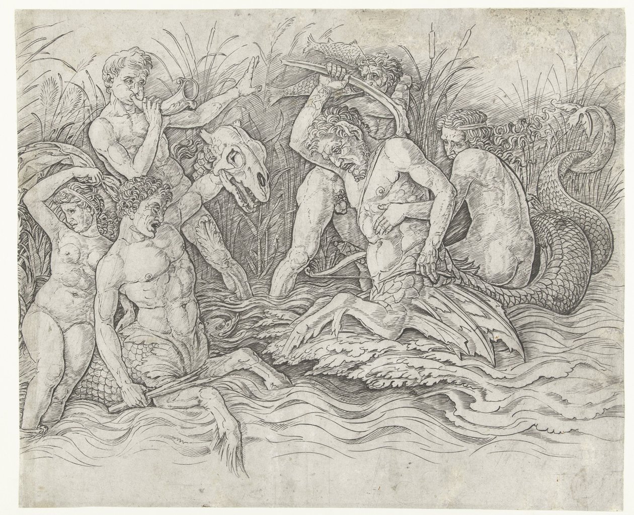 Combat entre tritons avec des néréides sur leur dos (Combat des dieux marins) - Andrea Mantegna