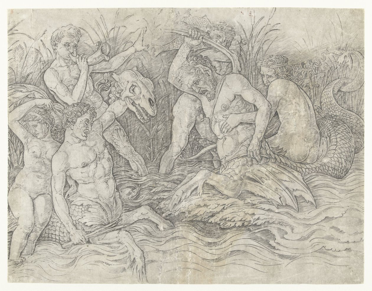 Combat entre tritons avec des néréides sur leur dos - Andrea Mantegna