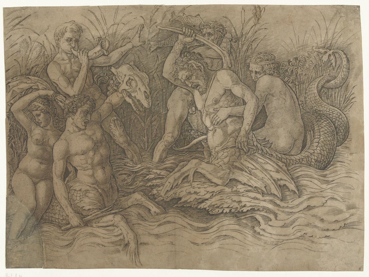 Combat entre tritons avec des néréides sur leur dos - Andrea Mantegna