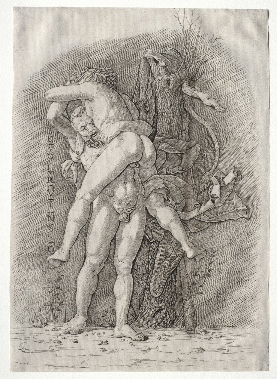 Hercule et Antée, 1400s - Andrea Mantegna