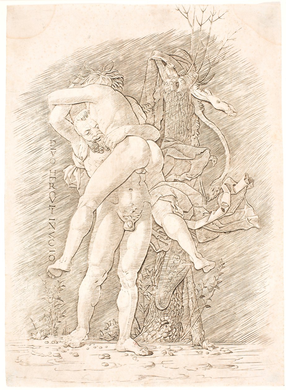 Hercule et Antée - Andrea Mantegna