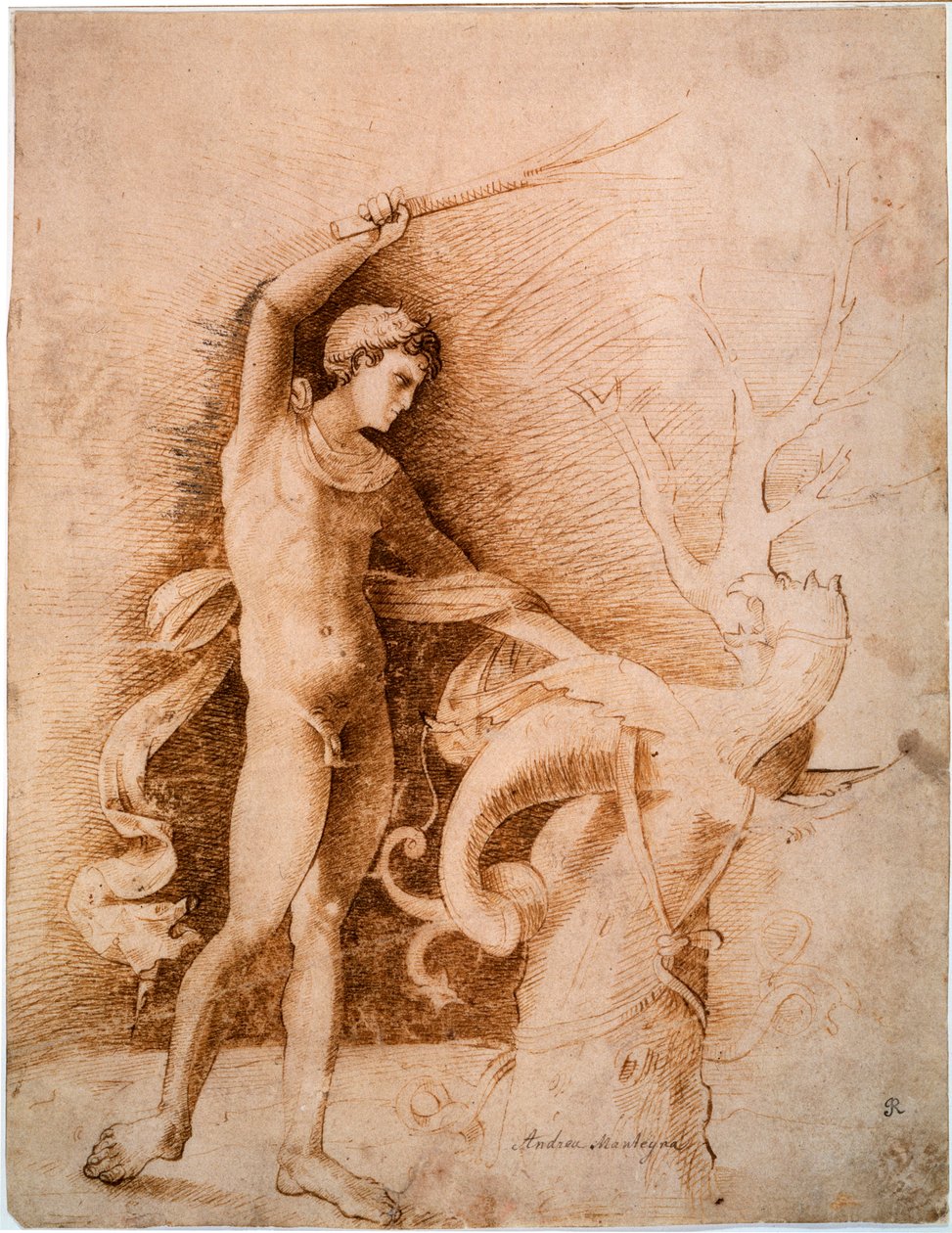 Jeune homme combattant le dragon, fin du 15ème siècle - Andrea Mantegna