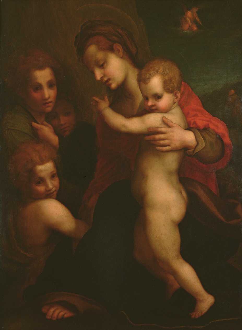 Madone et Enfant, Saint Jean et deux Anges - Andrea del Sarto