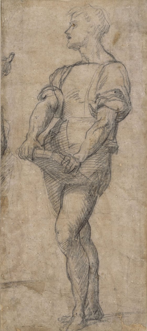Jeune homme debout tenant un livre, vers 1515 - Andrea del Sarto