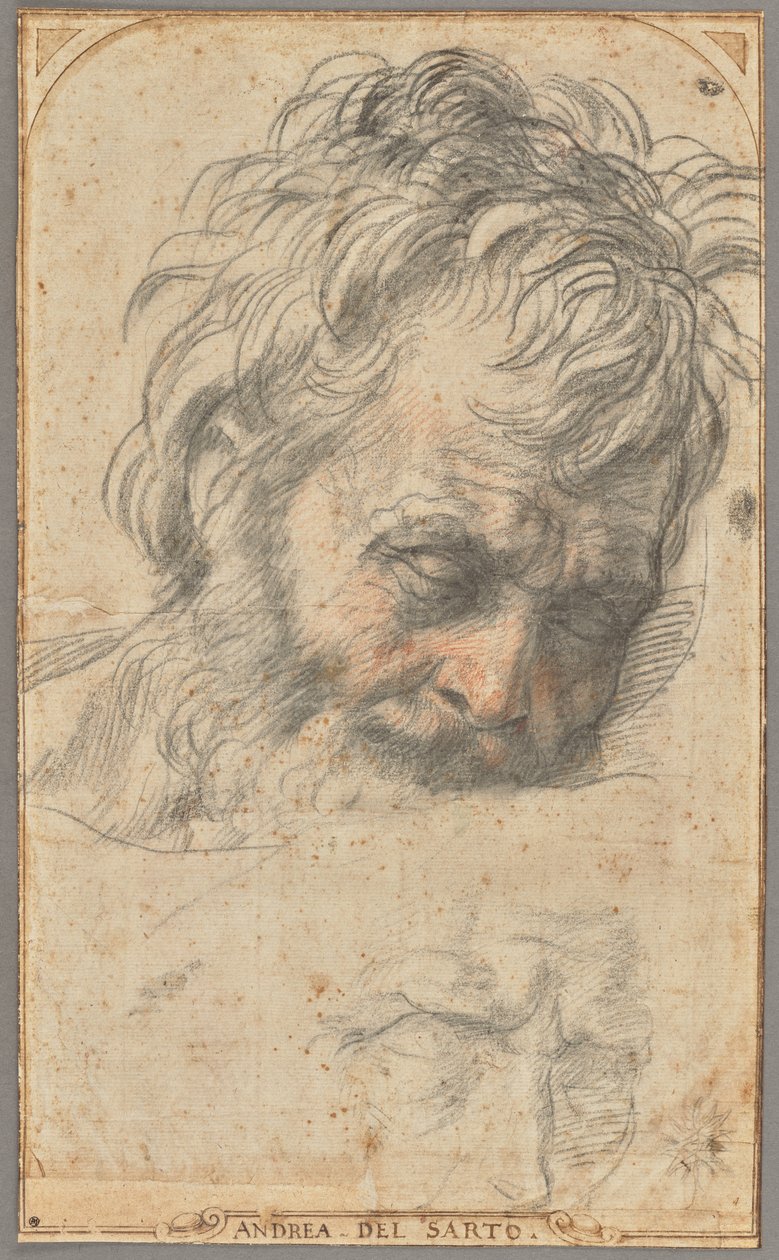 Etude pour la tête de Saint Joseph (recto) ; Deux études de jambes (verso) - Andrea del Sarto