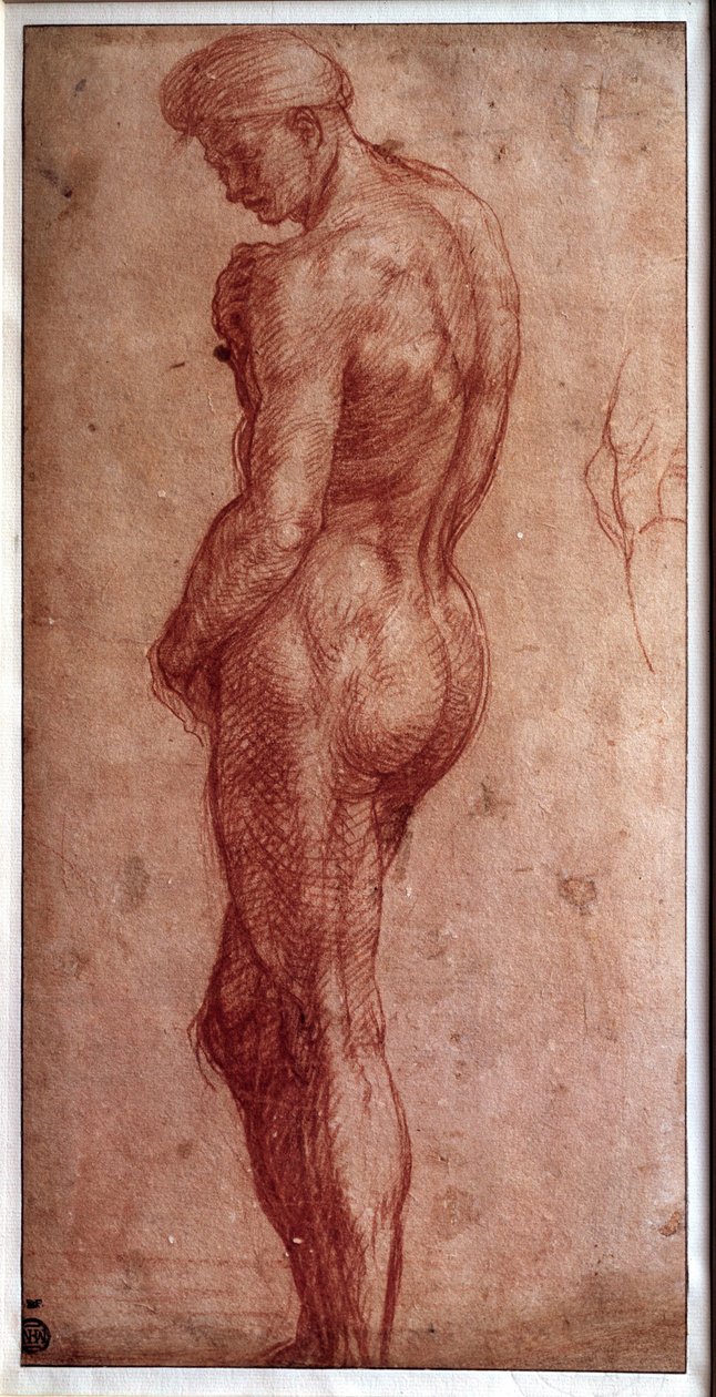 Étude de nu masculin. Dessin à la sanguine par Andrea d