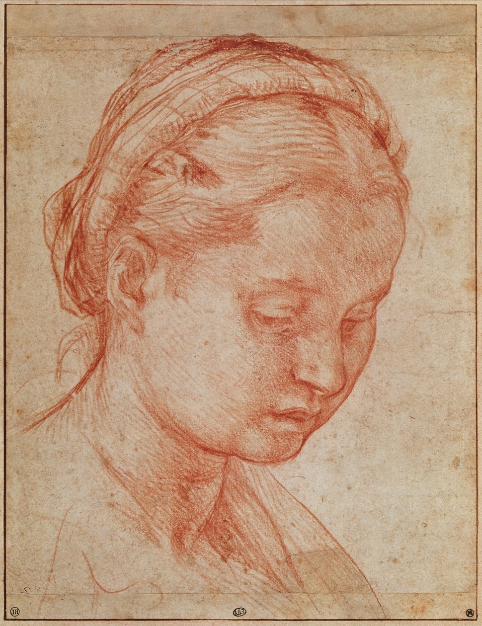 Étude de la tête de Sainte Catherine pour la Déposition avec la Vierge Marie et les Saints au Palais Pitti, 1523-24 - Andrea del Sarto