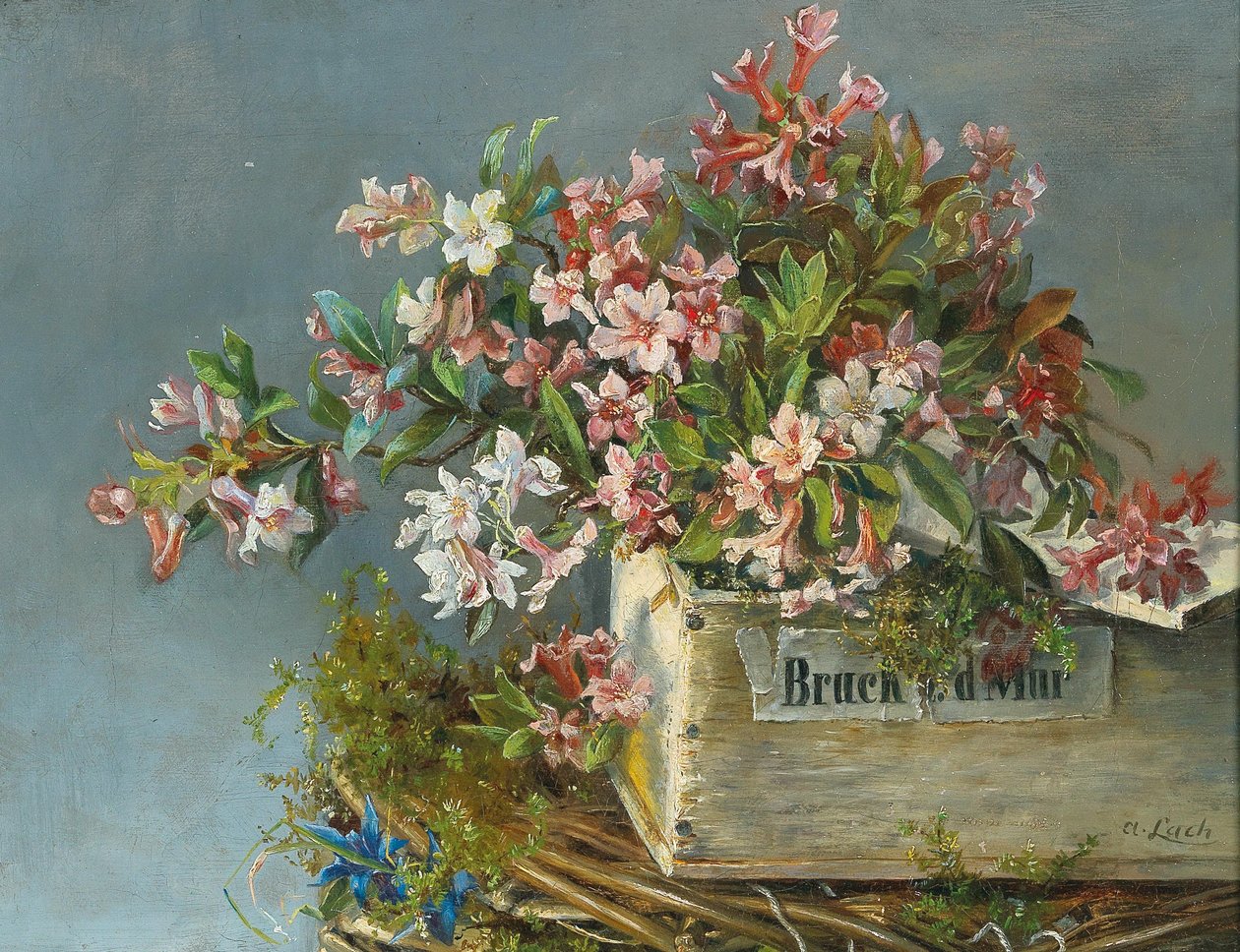 Roses alpines dans une jardinière - Andreas Lach