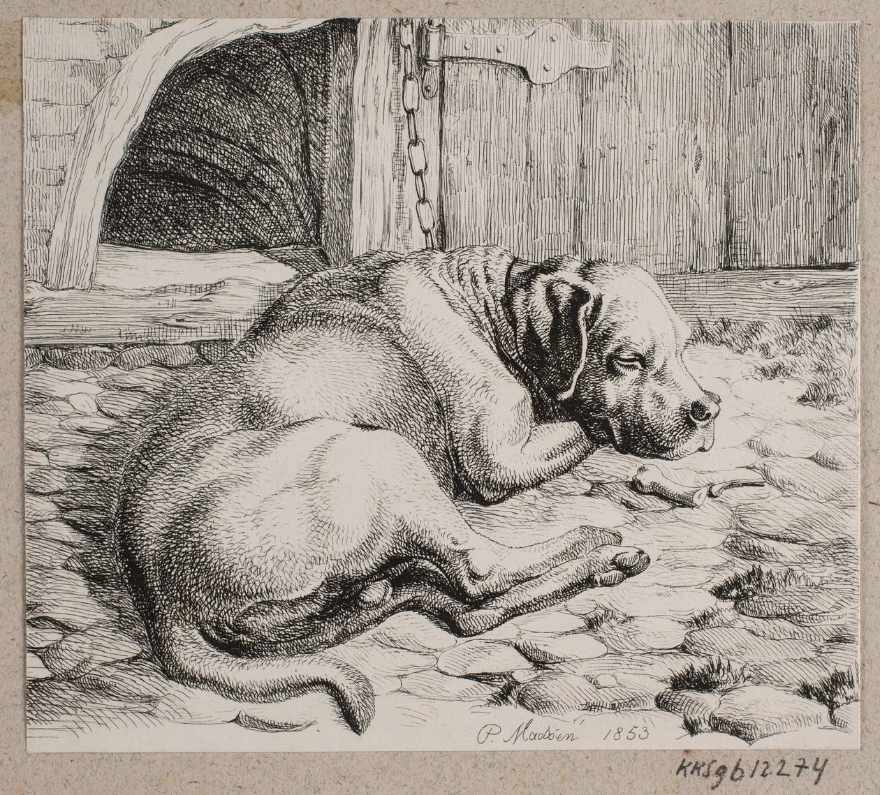 Un chien enchaîné endormi - Andreas Peter Madsen