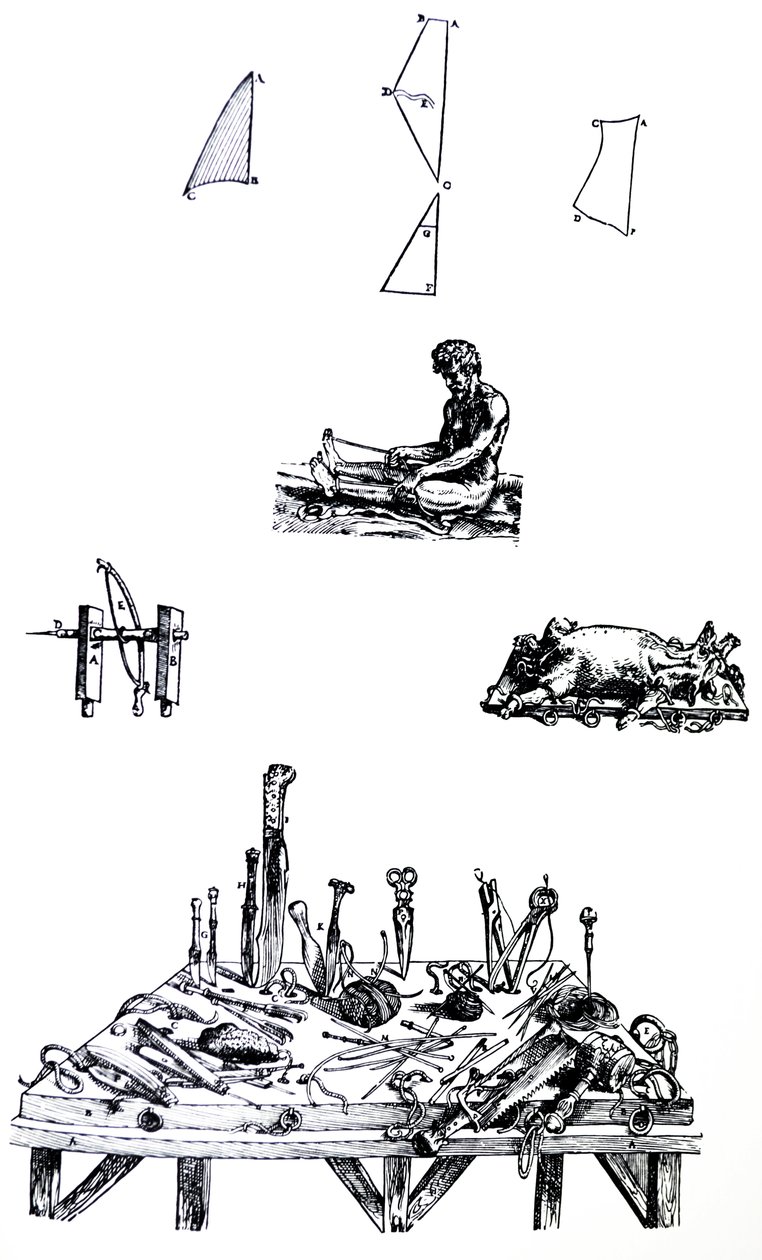 Les Planches du Deuxième Livre de De Humani Corporis Fabrica - Andreas Vesalius