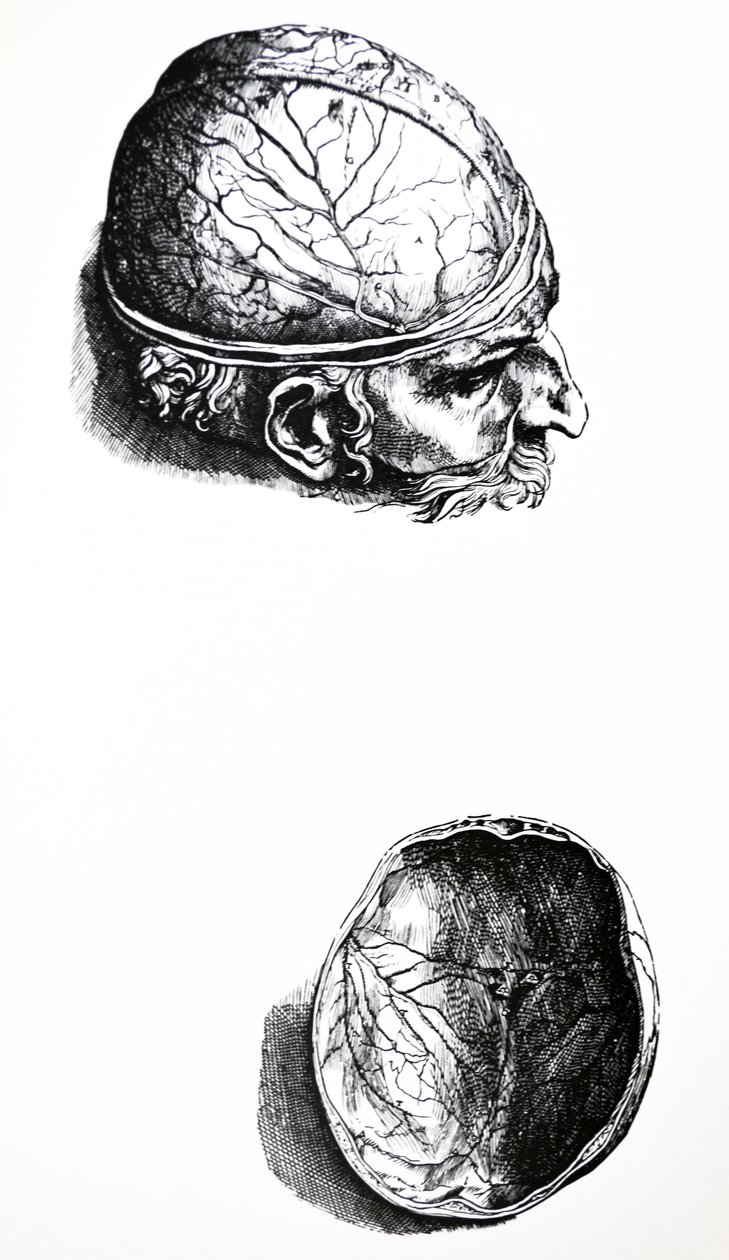 Les Planches du Septième Livre de De Humani Corporis Fabrica - Andreas Vesalius