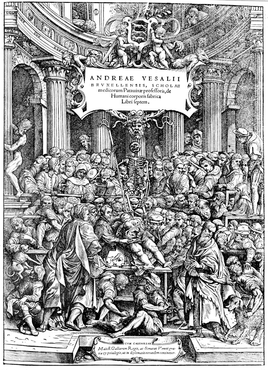Page de titre de De Humani Corporis Fabrica d