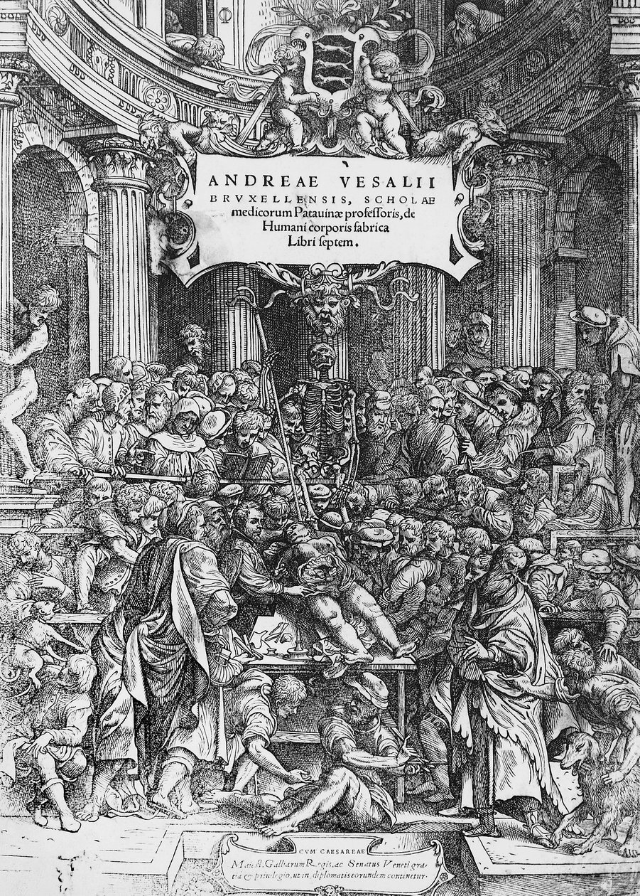 Page de titre de De humani corporis fabrica - Andreas Vesalius