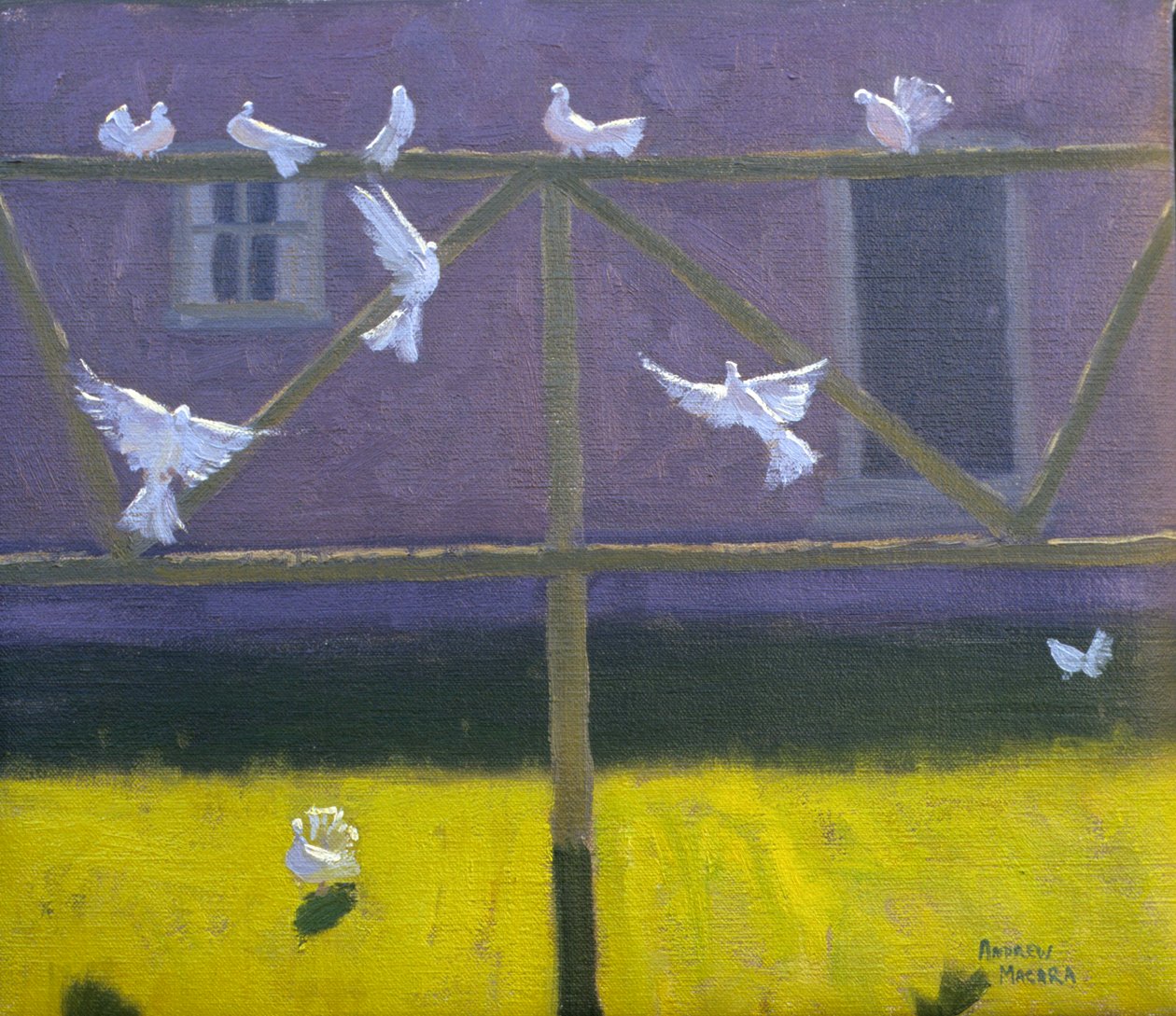 Colombes, 1999 - Andrew Macara