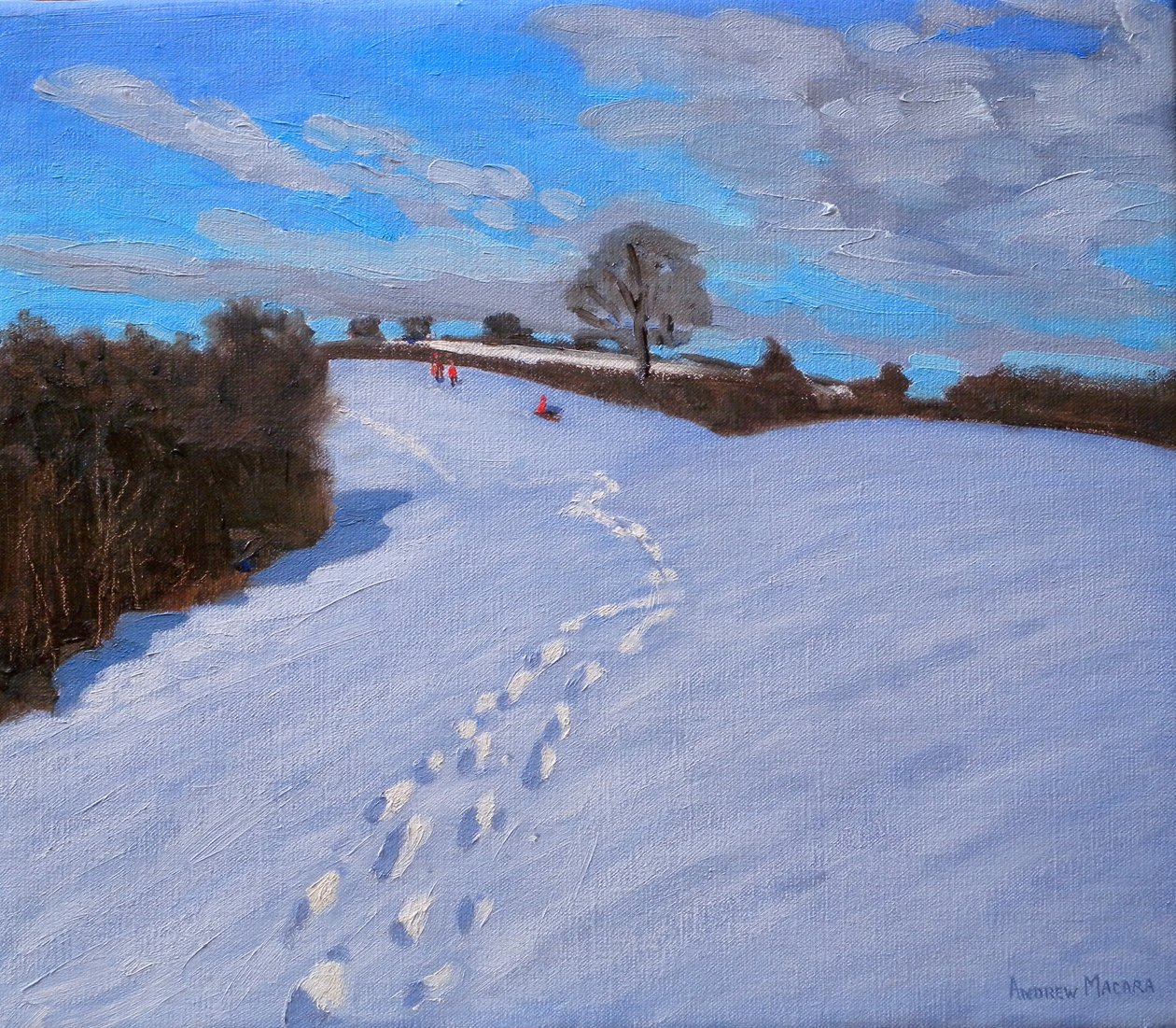 Empreintes dans la neige, 2009 - Andrew Macara