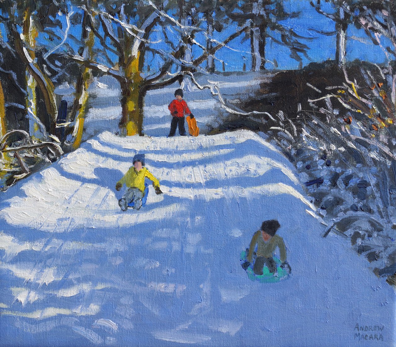 Amusement dans la neige, Wash Green, Derbyshire, 2014 - Andrew Macara