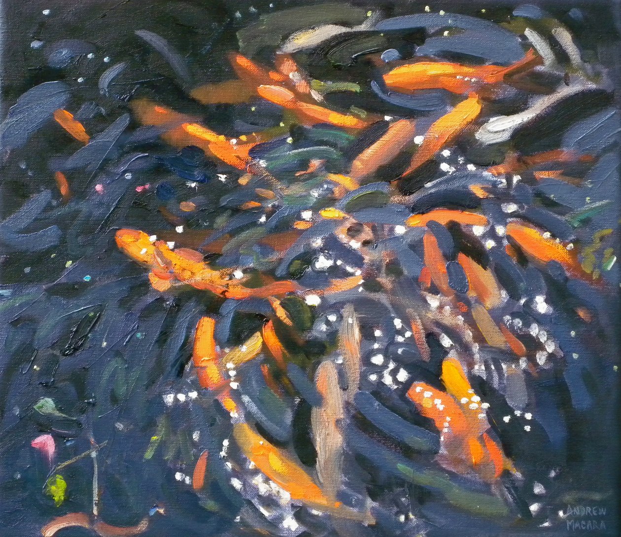 Poisson rouge, 2010 - Andrew Macara