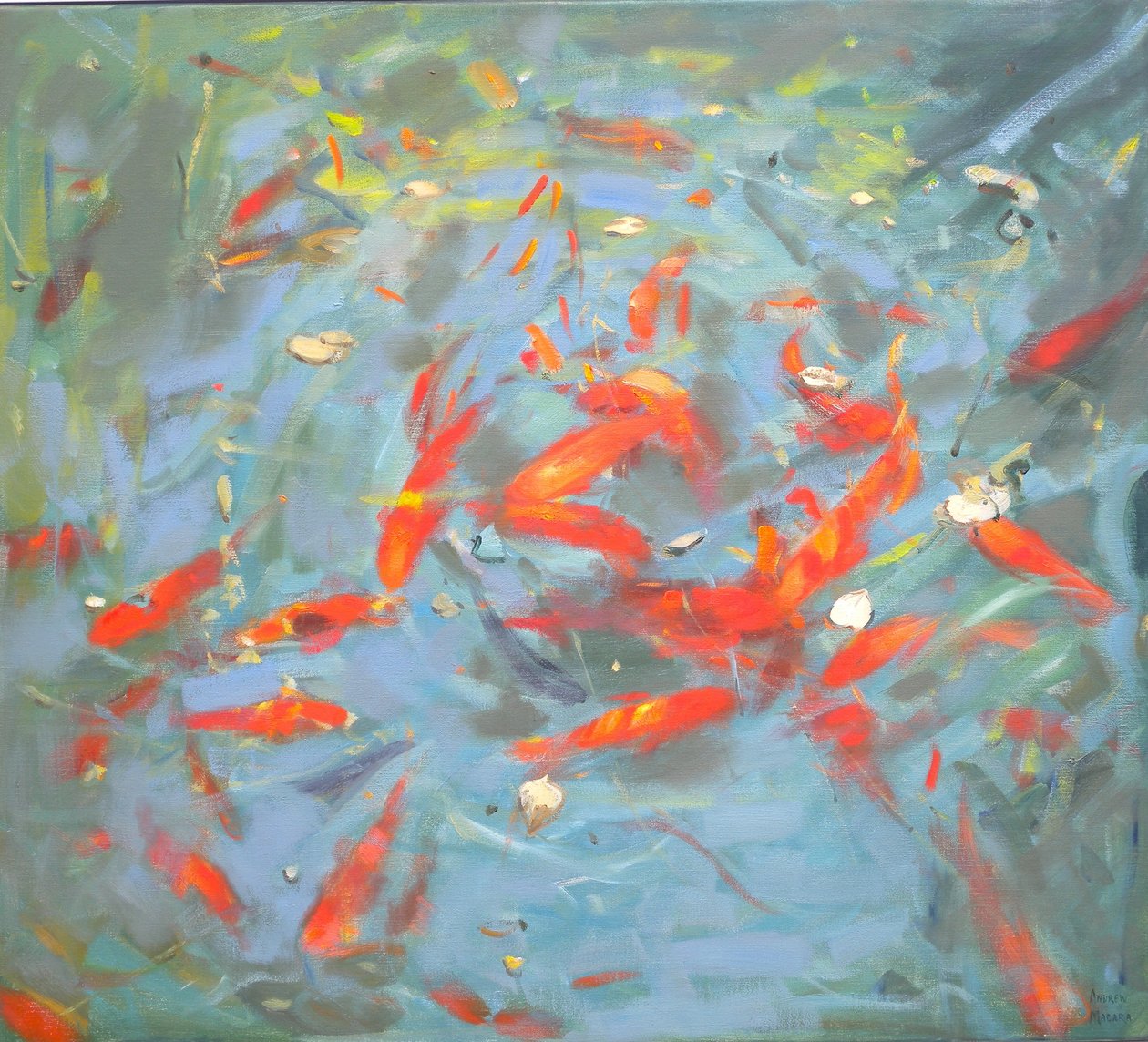Poissons rouges, 2010 - Andrew Macara