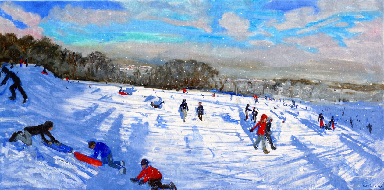 Flocons de neige, Allestree Park, Derby - Andrew Macara