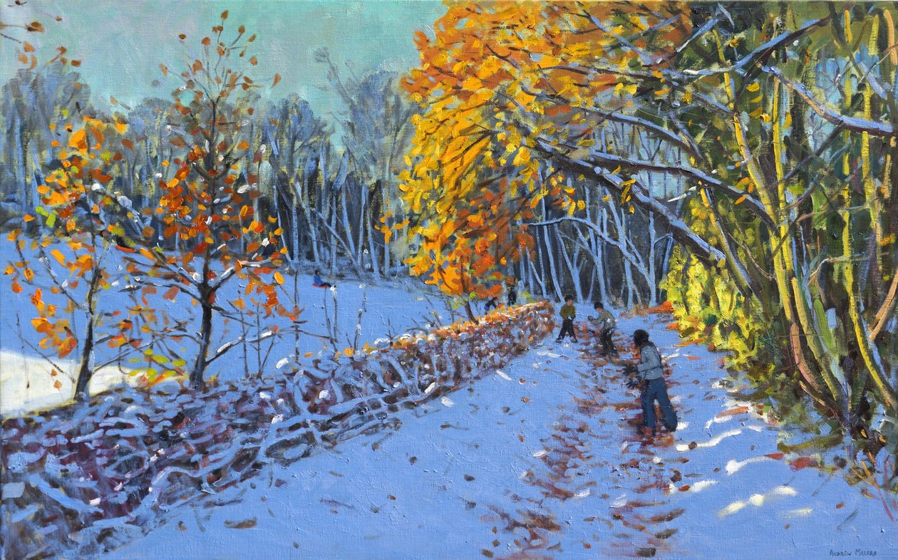 Bataille de boules de neige, Allestree Park, Derby, 2014 - Andrew Macara