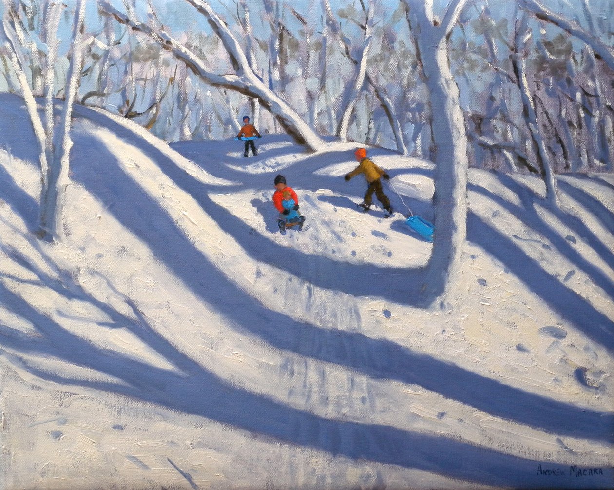 Hiver à Bramcote Nottingham, 2008 - Andrew Macara