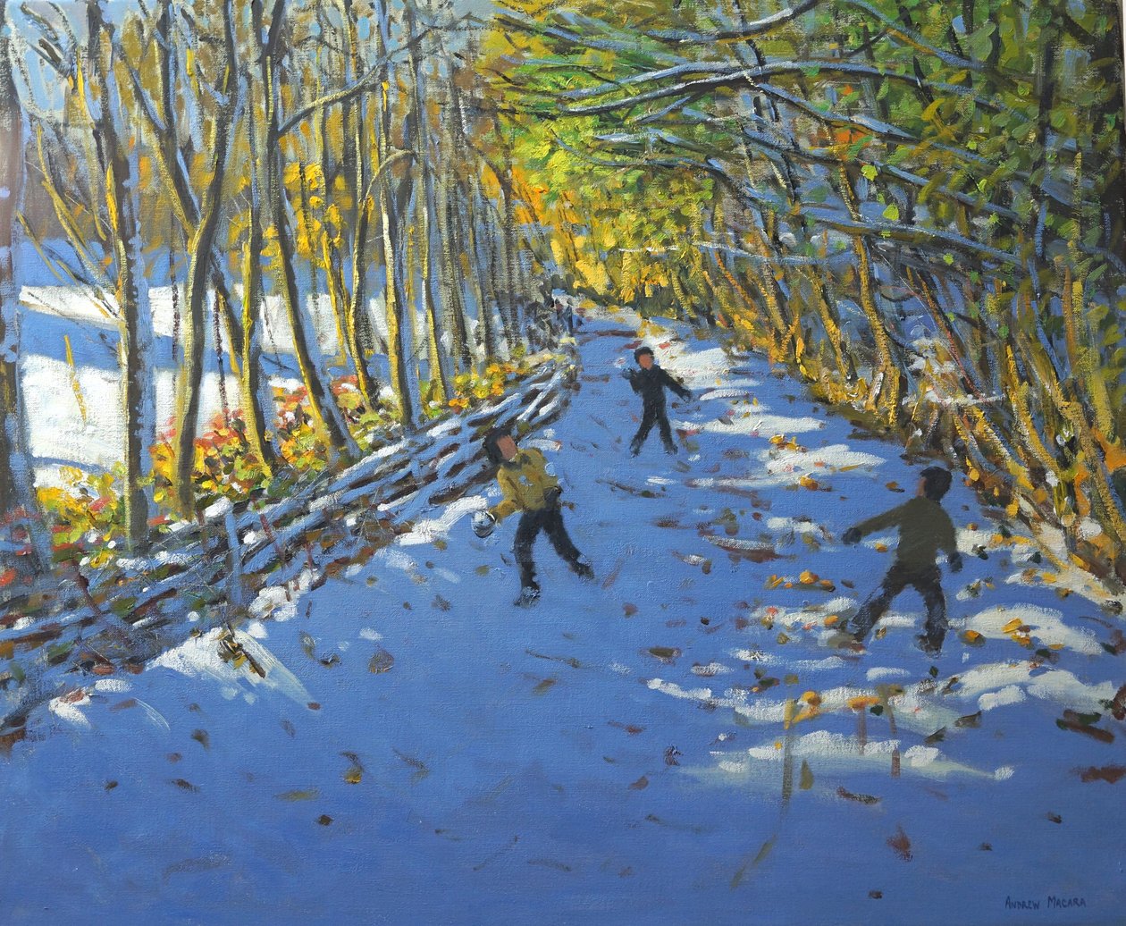 Arbres jaunes, parc d