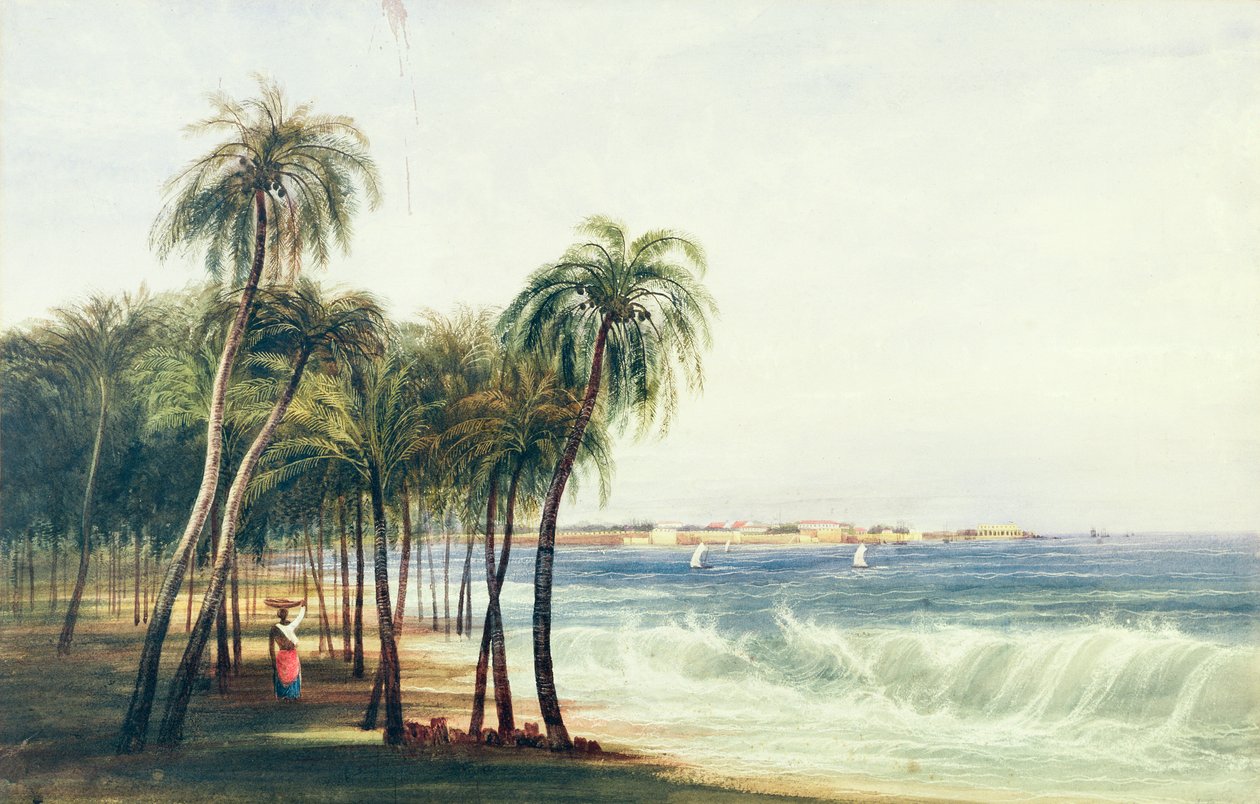Vue de Colombo, Ceylan - Andrew Nicholl