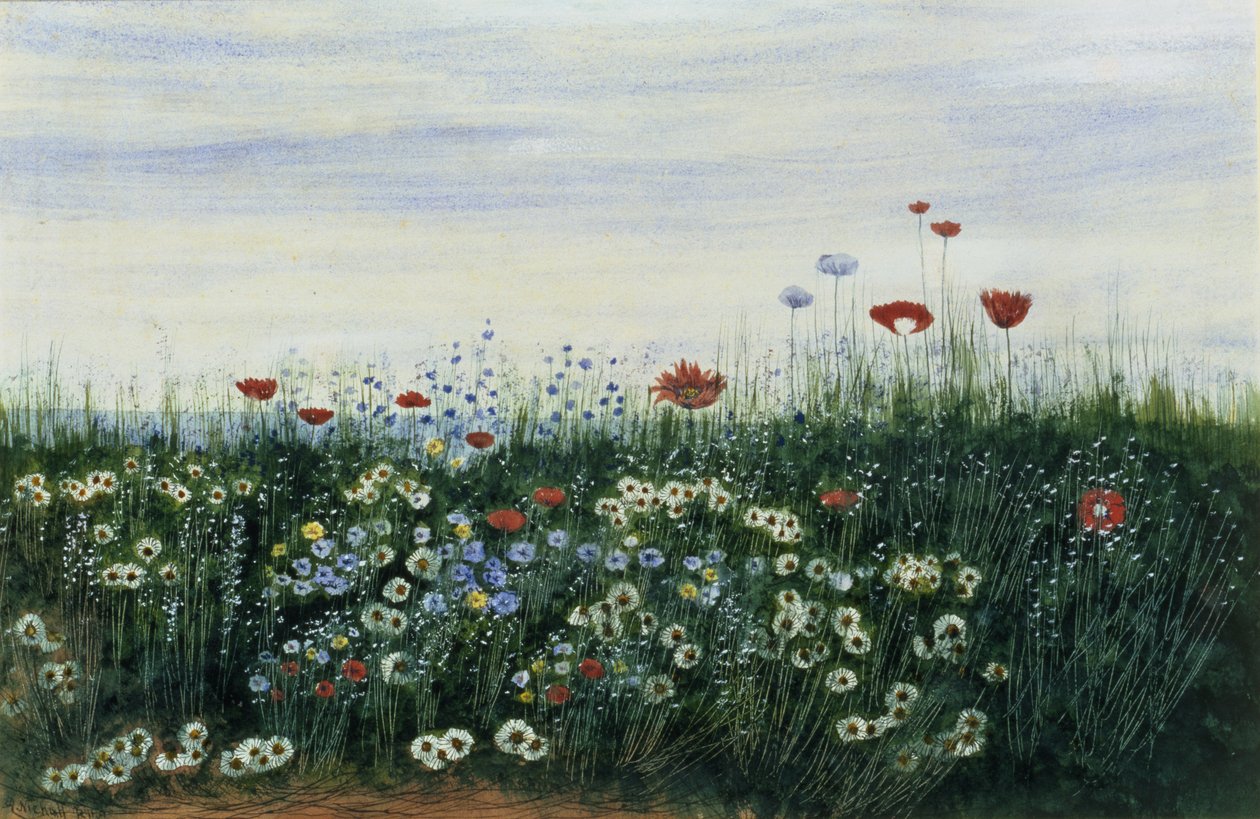 Coquelicots, marguerites et autres fleurs au bord de la mer - Andrew Nicholl