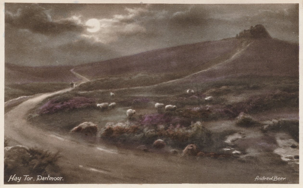 Hay Tor, Dartmoor (photo couleur) - Andrew Beer