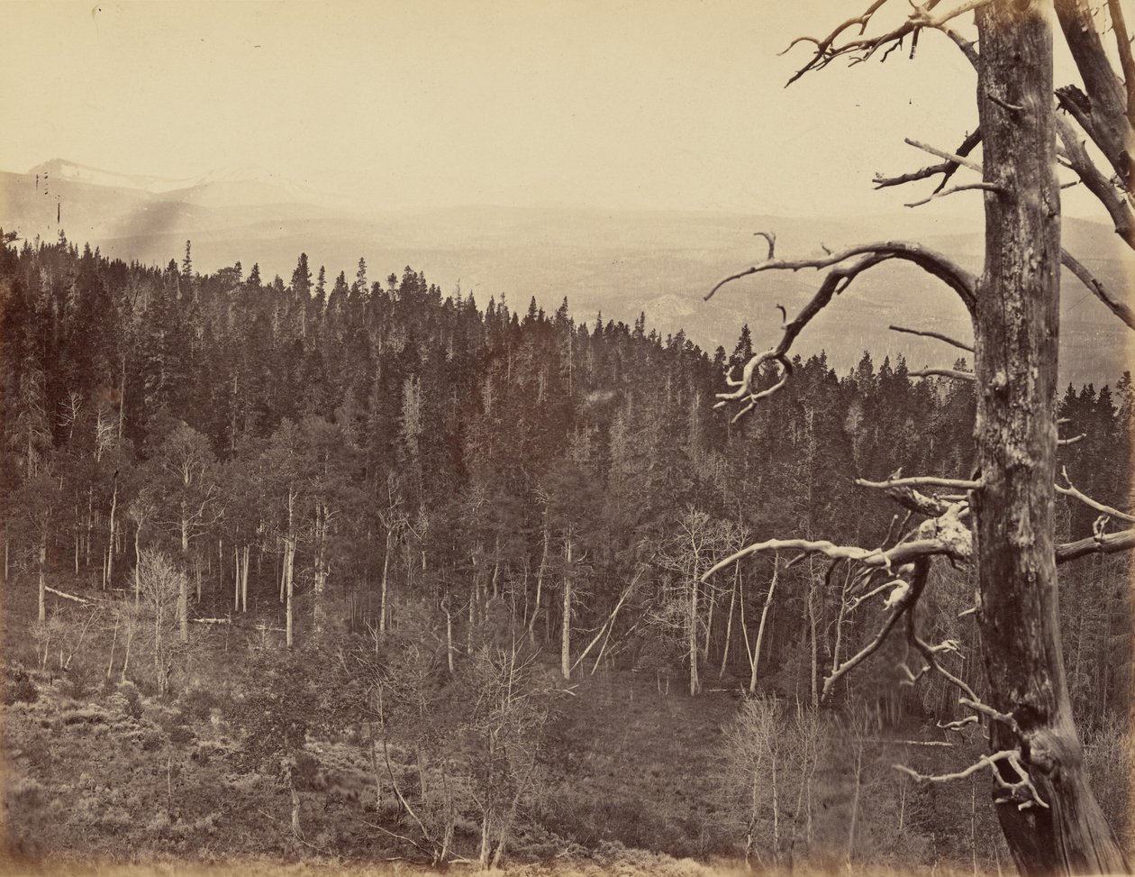 Planche 13. Ligne de neige et de bois, montagnes Laramie, 1869 (photo) - Andrew Joseph Russell