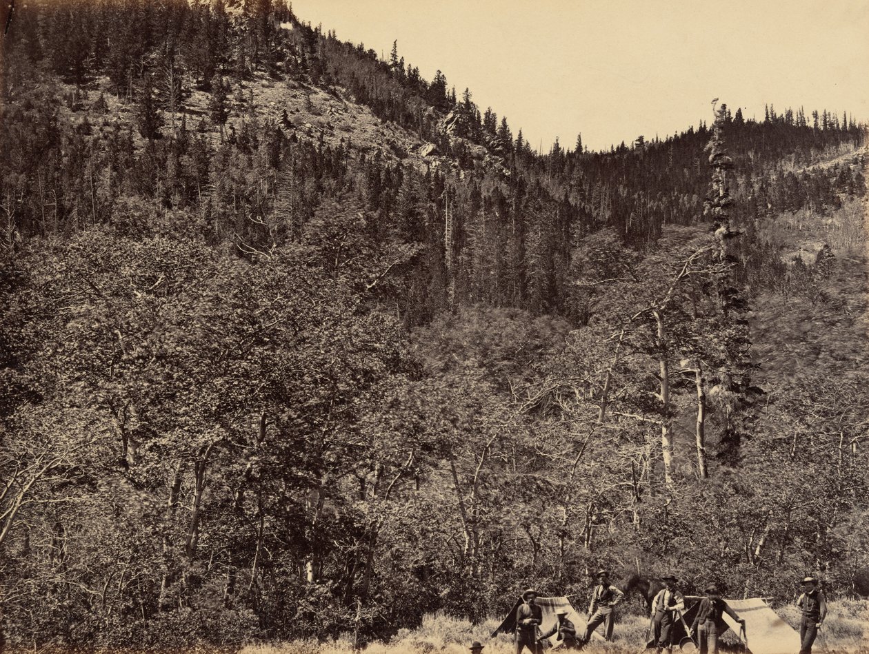 Planche 19. Parmi les arbres à la tête de la rivière Little Laramie, 1869 (photo) - Andrew Joseph Russell