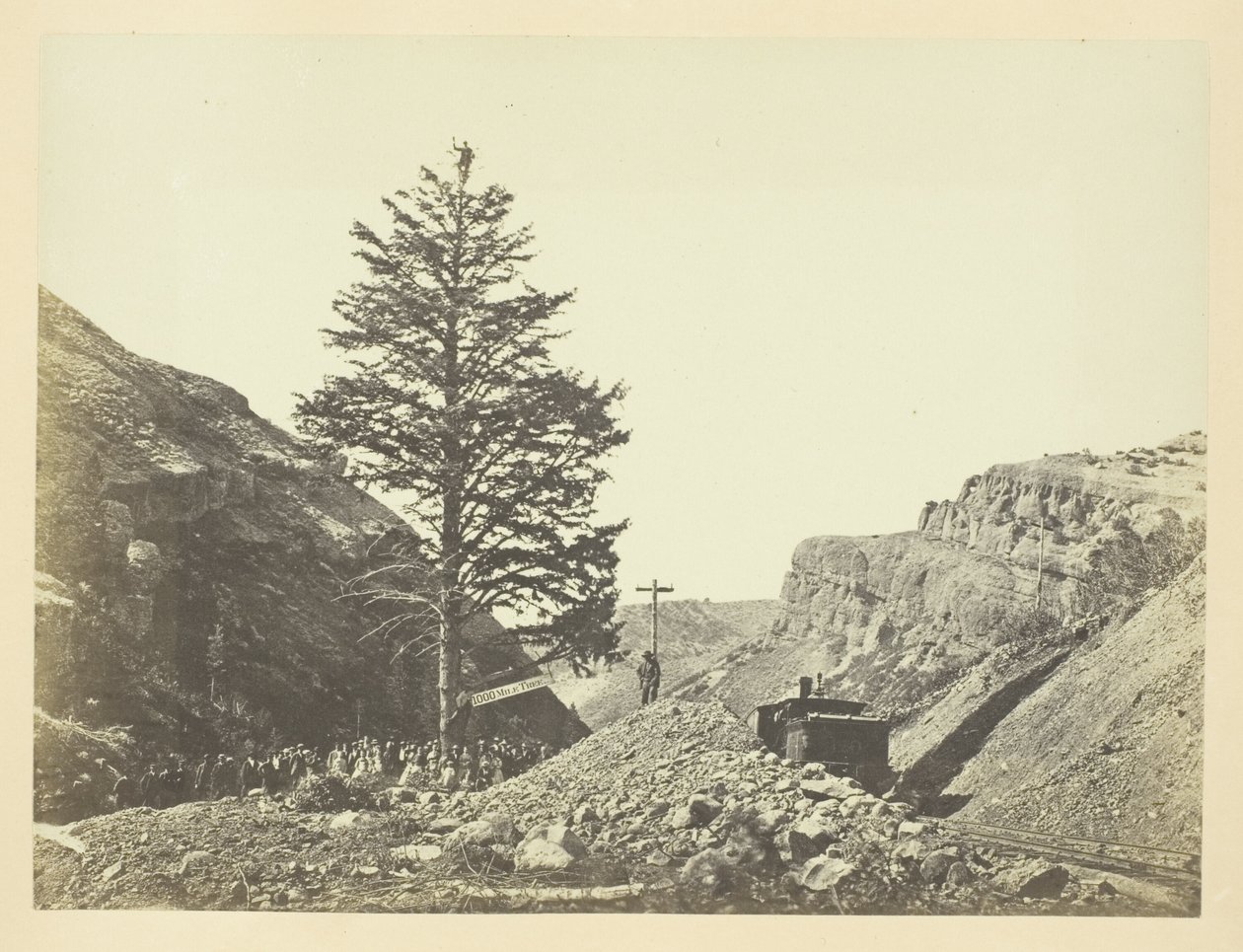 Arbre des mille milles, col de Wilhelmina - Andrew Joseph Russell