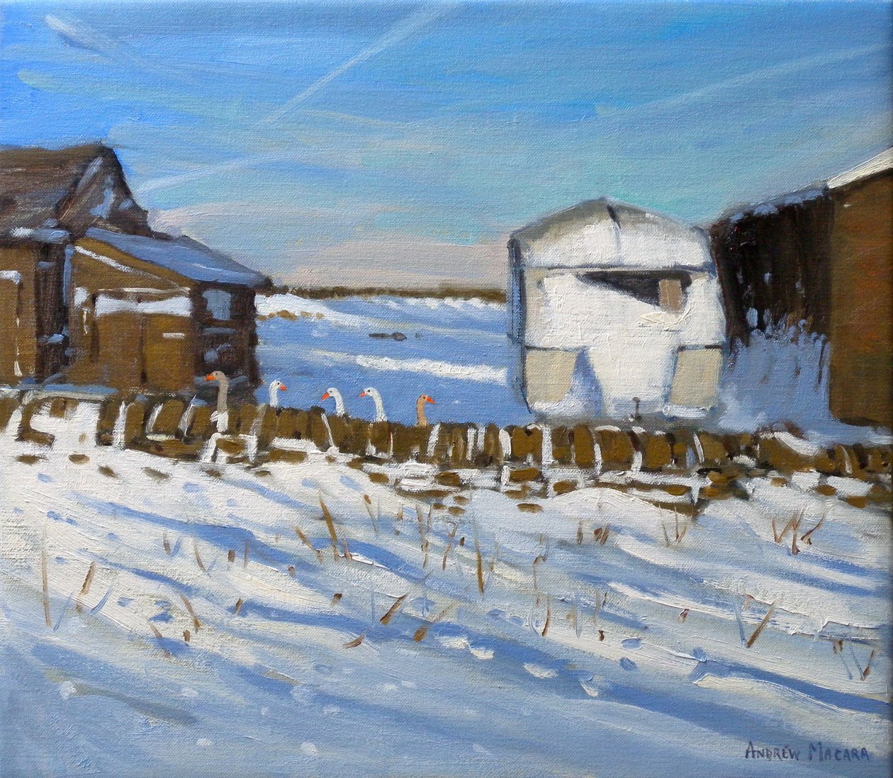 Caravane et oies, Derbyshire, 2011 - Andrew Macara