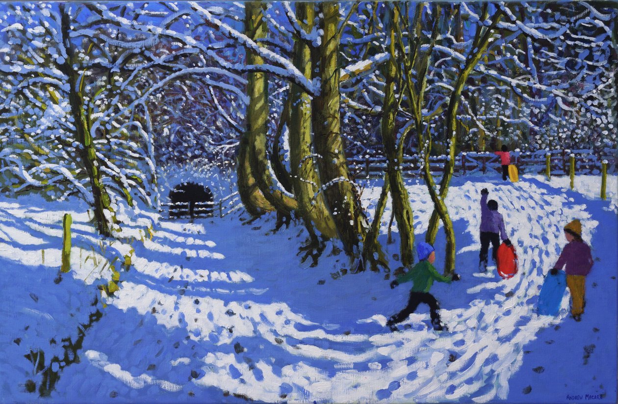 Faire de la luge, Calke Abbey, 2021 - Andrew Macara