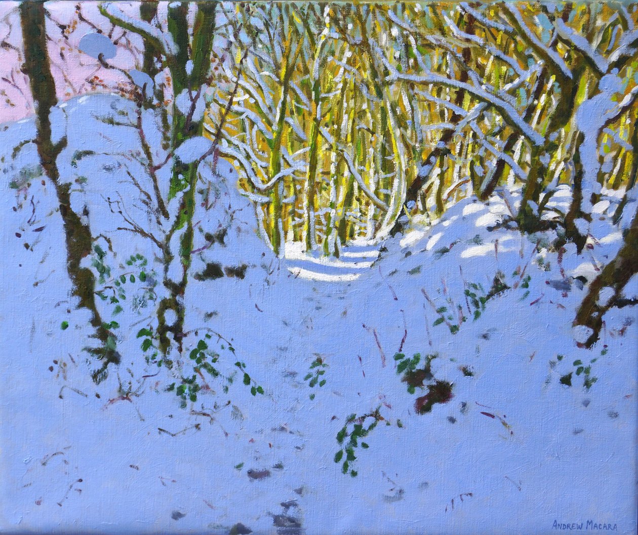 Chemin à travers les bois en hiver, Derbyshire - Andrew Macara