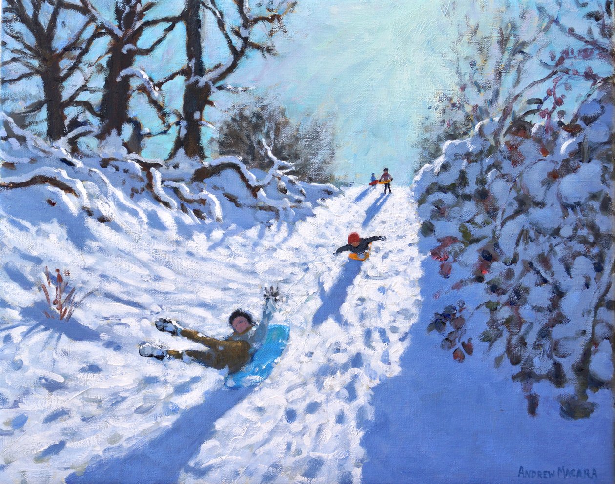 Luge, Calke Abbey, Ticknall, Derby - Andrew Macara