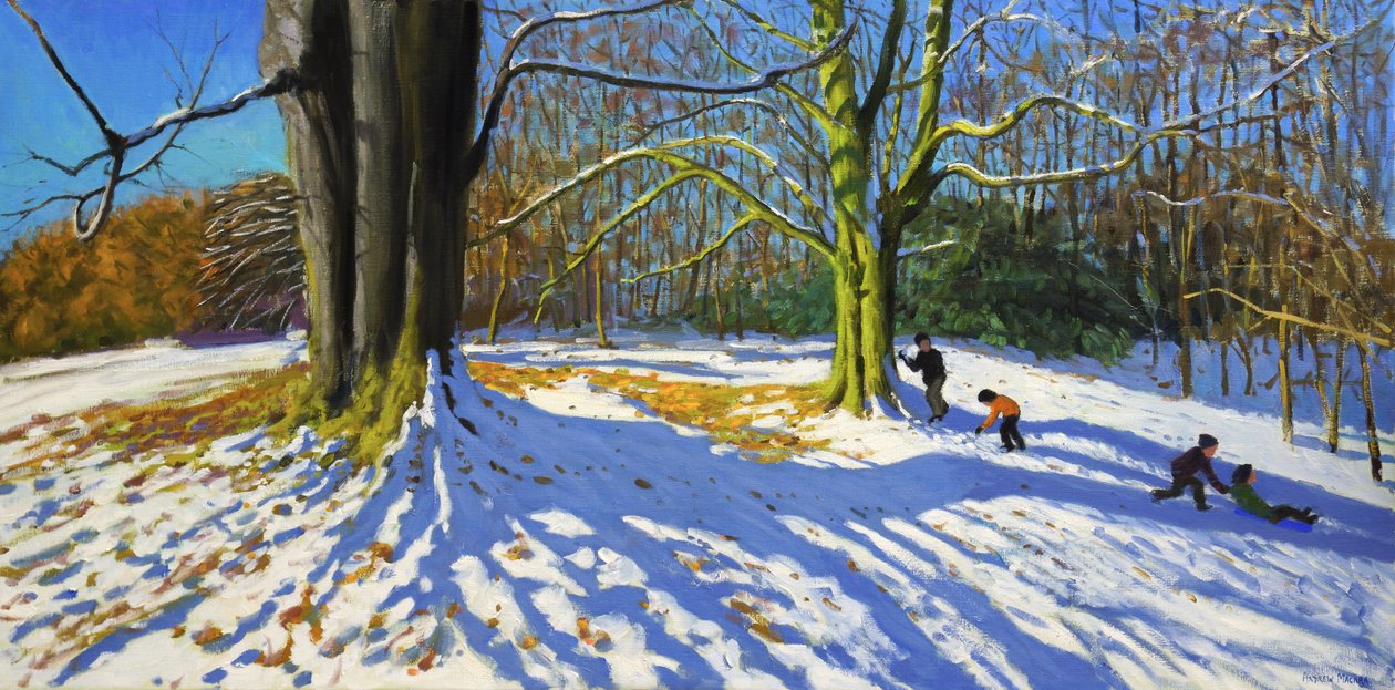 Sommet du parc Allestree, 2014 - Andrew Macara