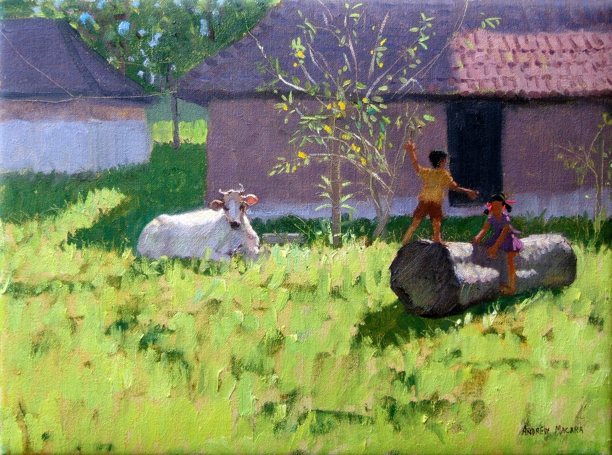 Vache blanche et deux enfants, île de Mankotta, Kerala, Inde - Andrew Macara