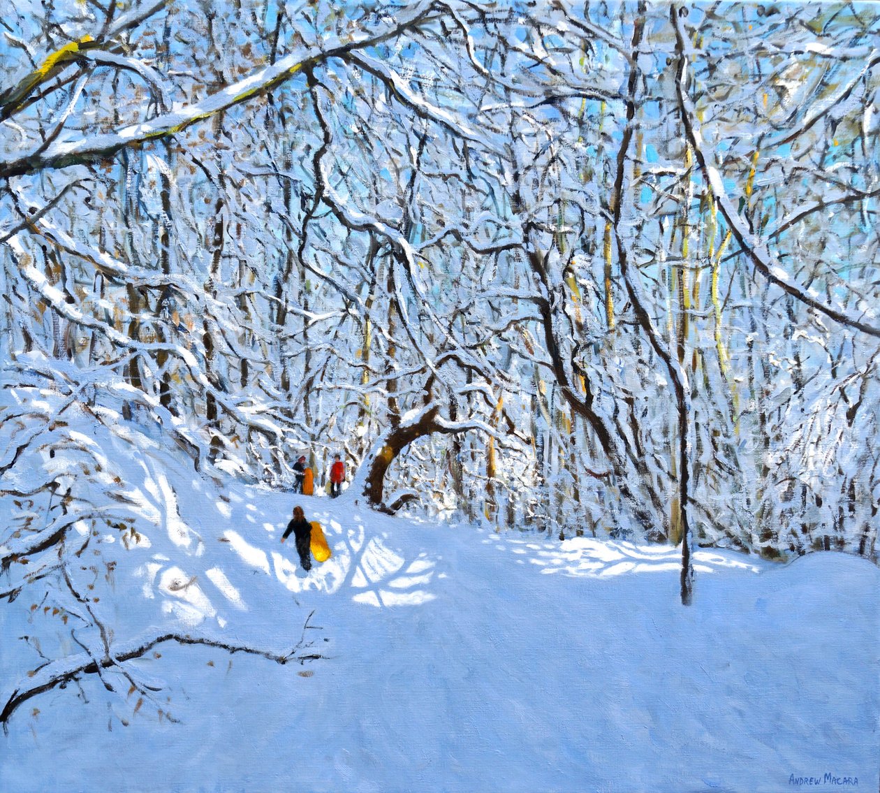 Luges jaunes et oranges, Allestree Park, Derby, 36 x 40, 2018 - Andrew Macara