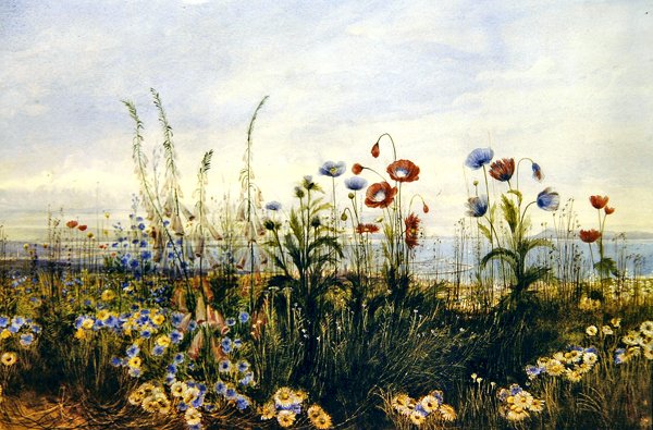 Vue de Kingstown et de la baie de Dublin - Andrew Nicholl