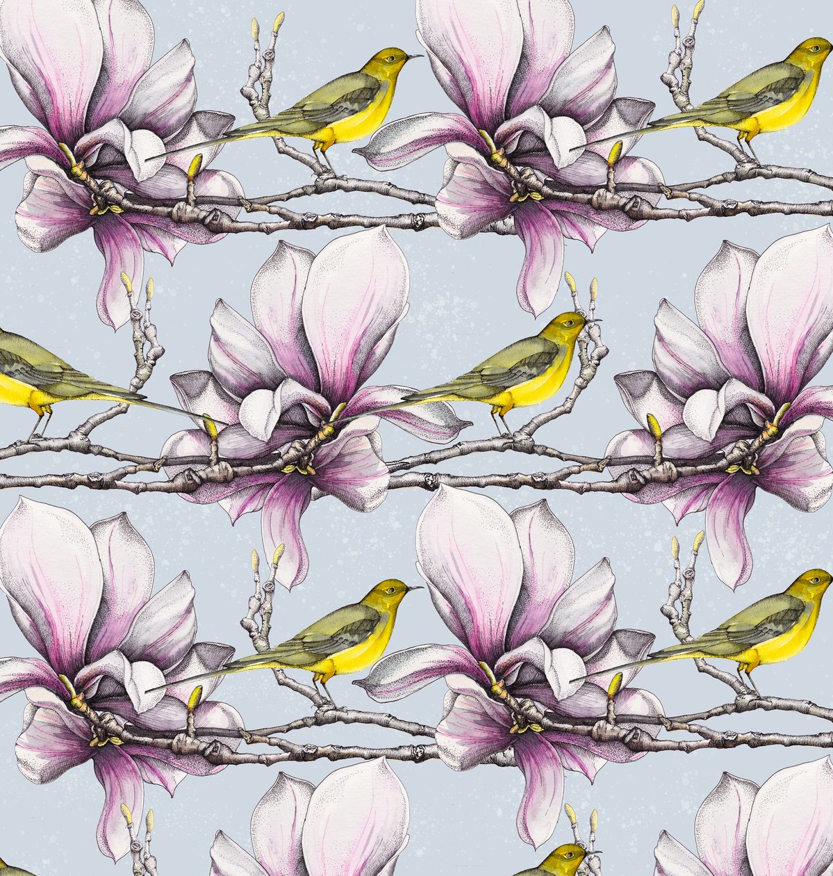 Magnolia et Bergeronnettes jaunes - Andrew Watson