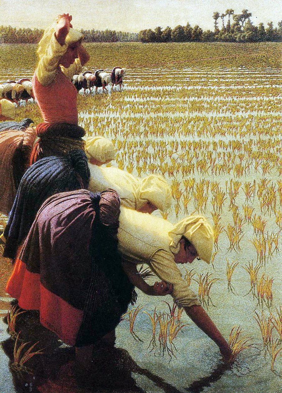 Une rizière italienne, 1901 - Angelo Morbelli