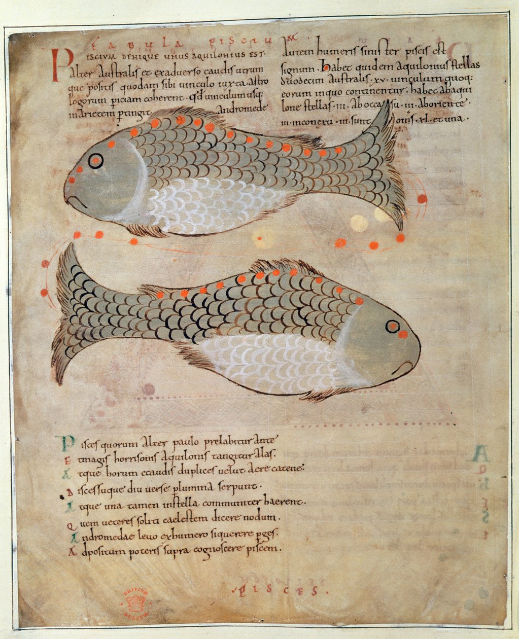 La constellation des Poissons de 